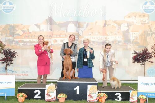 CACIB Maribor II 23.4 (161)